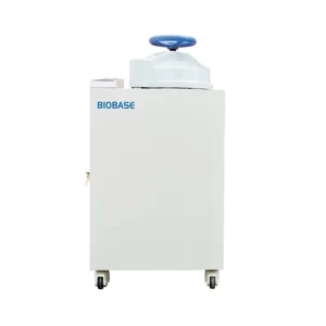 Autoclave a vapor